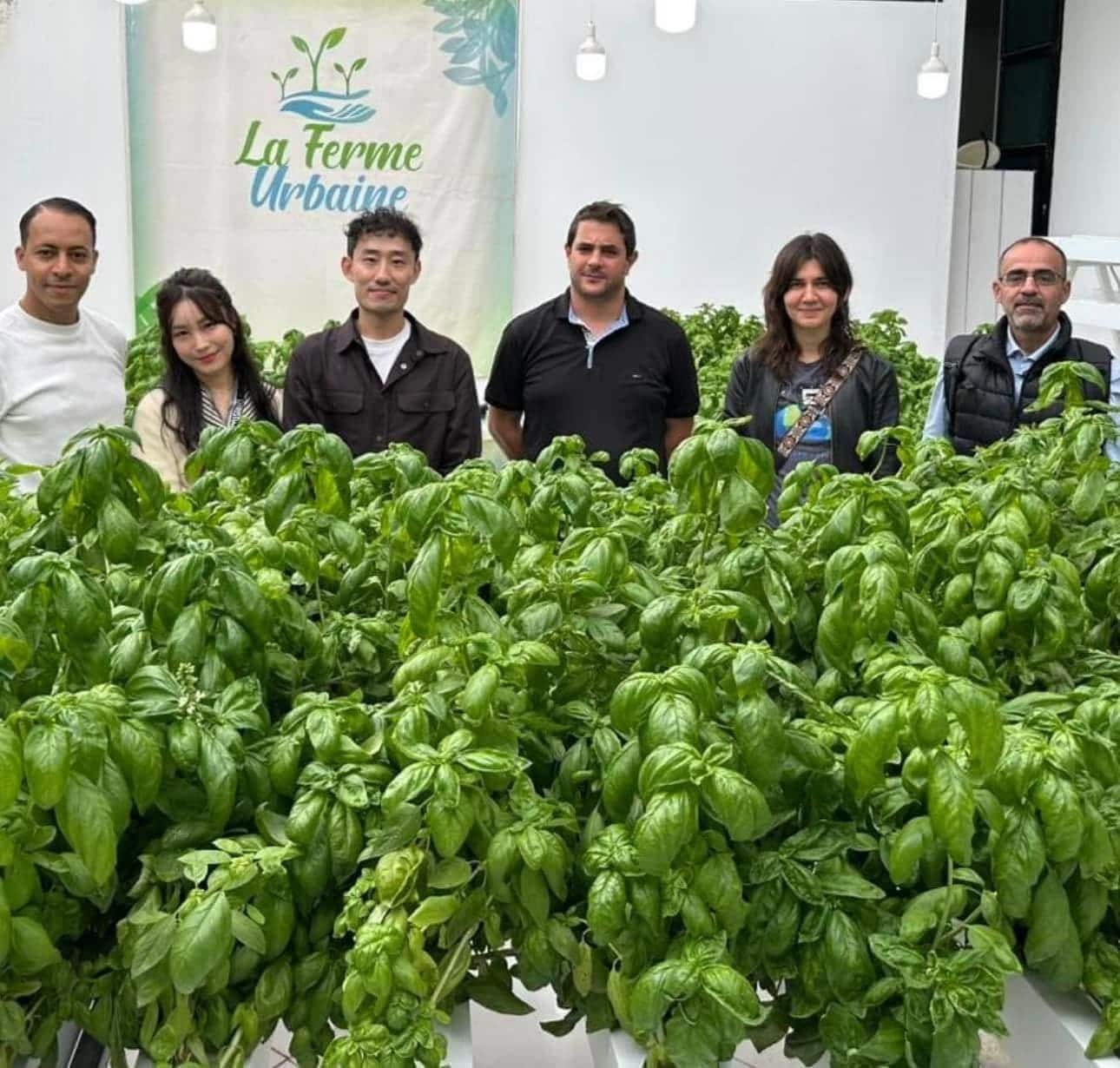 L'équipe de La Ferme Urbaine réunie devant une production de basilic sous serre