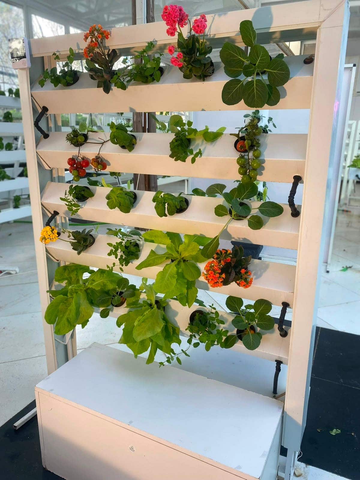Jardin vertical hydroponique autoportant avec légumes et fleurs